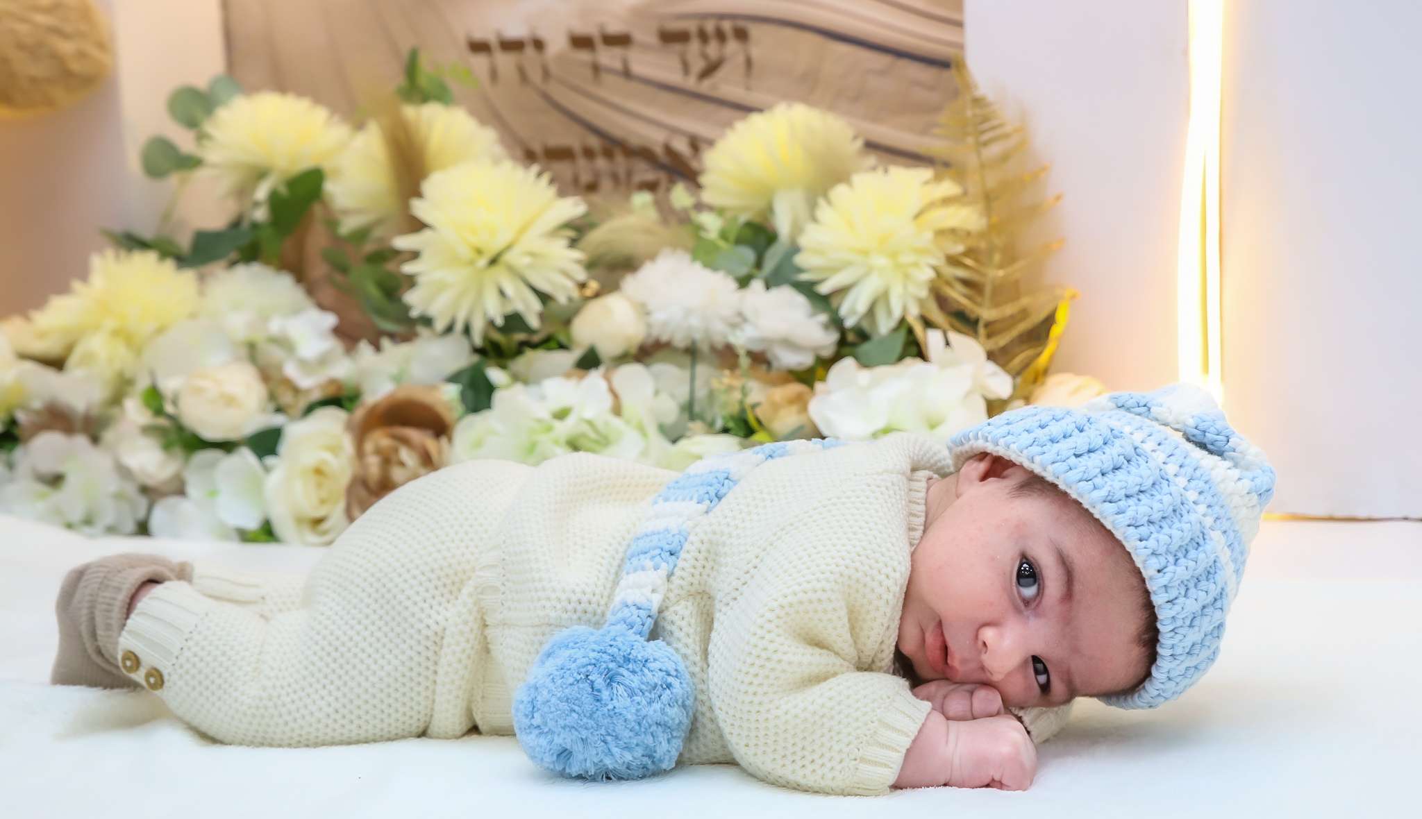 צילומי ניו בורן