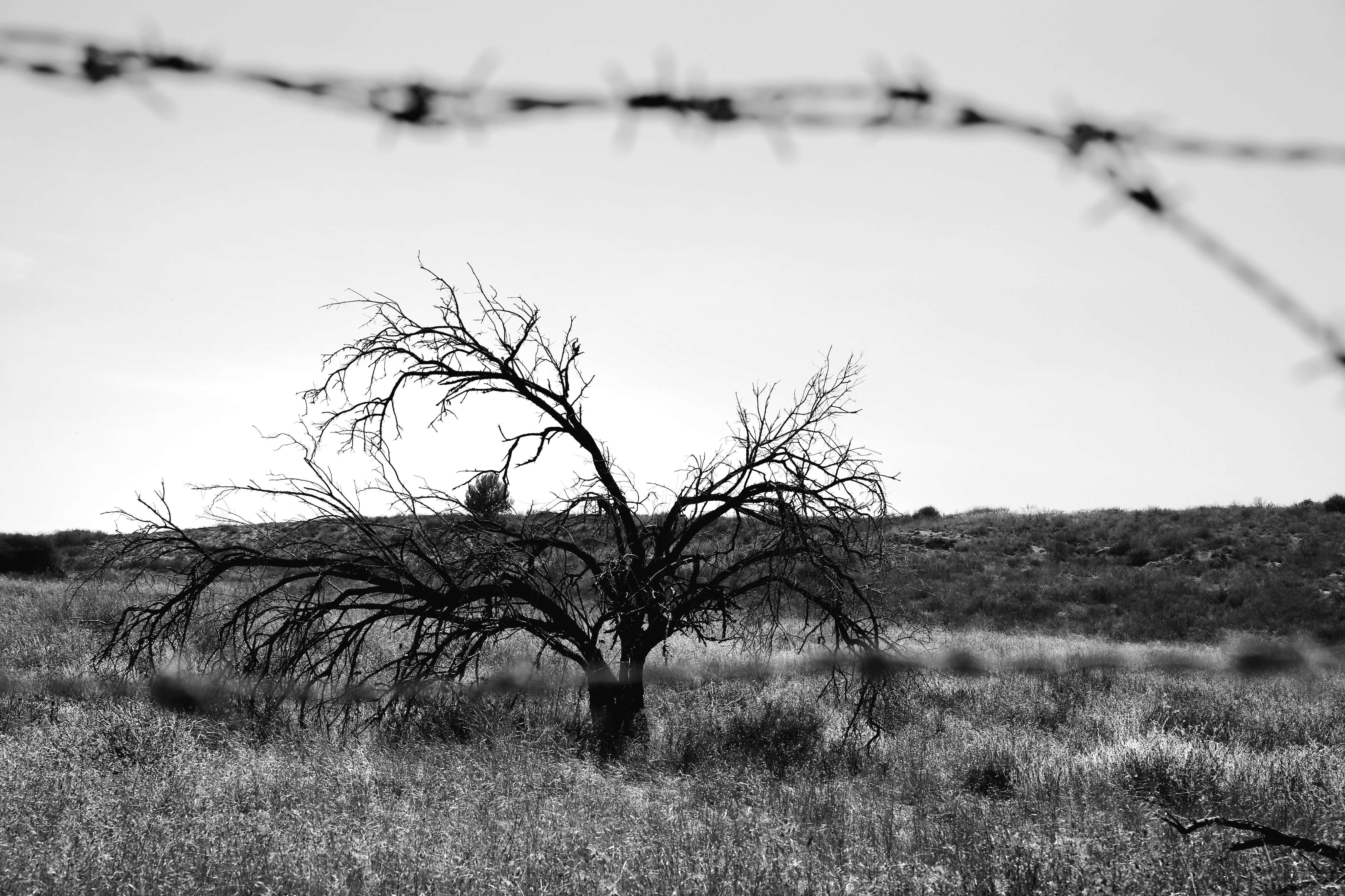 צלומי ספורט